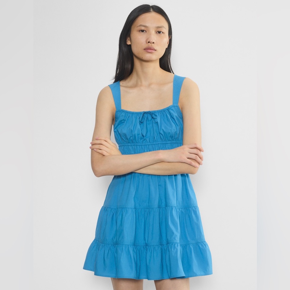 NWT Aritzia Martine dress